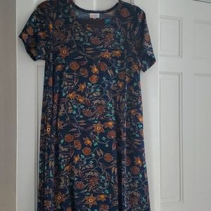 LuLaRoe XS Carly